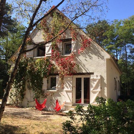 Chambres Au Coeur Du Massif Des Trois Pignons Noisy-sur-Ecole Buitenkant foto