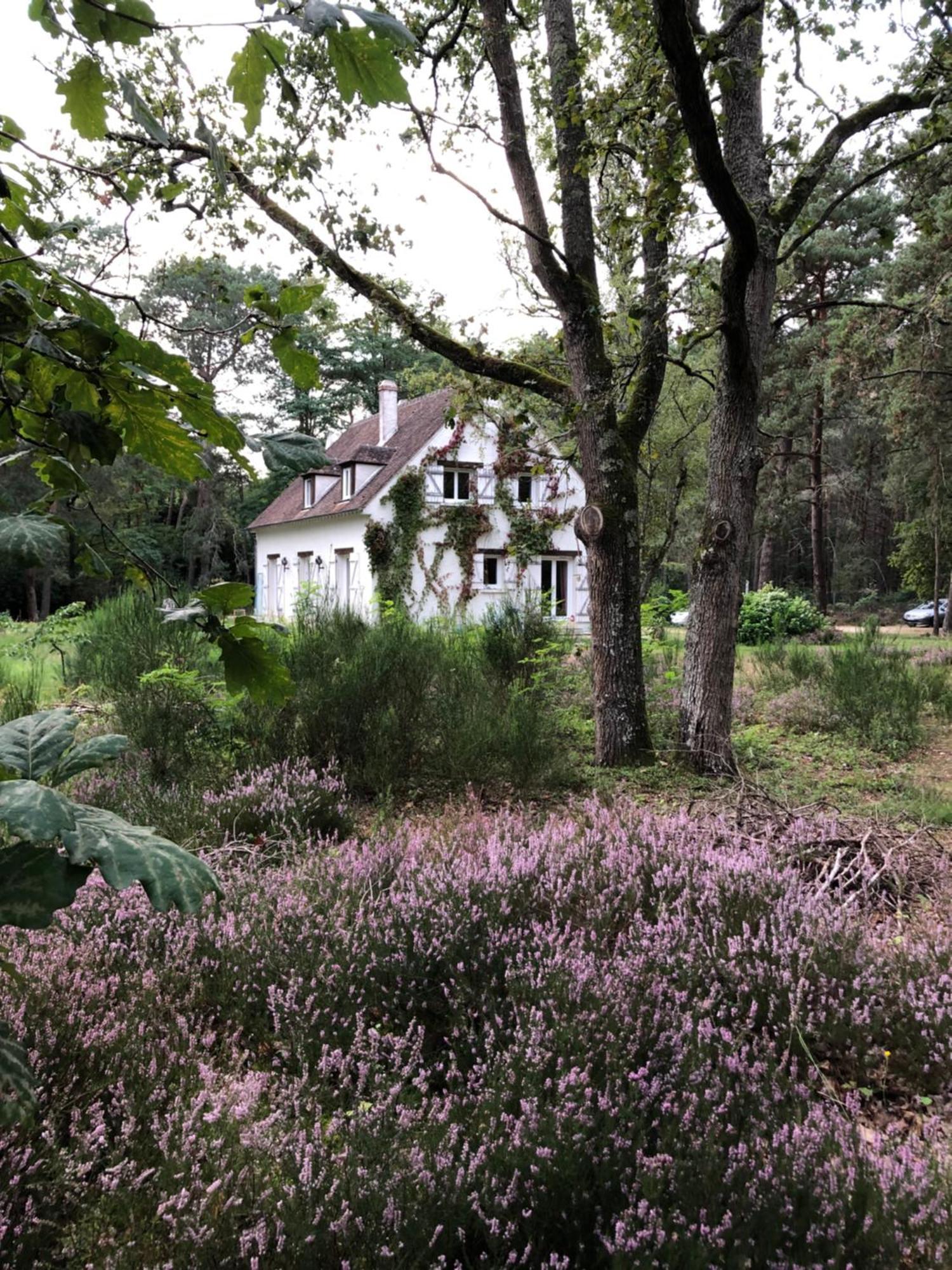 Chambres Au Coeur Du Massif Des Trois Pignons Noisy-sur-Ecole Buitenkant foto